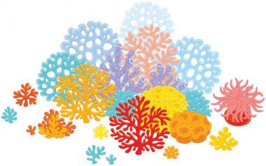 Tropikal mercan resif üzerinde