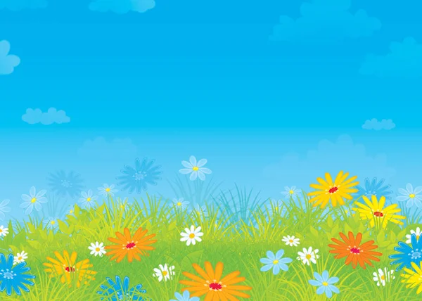 Sommerfeld mit Blumen — Stockfoto