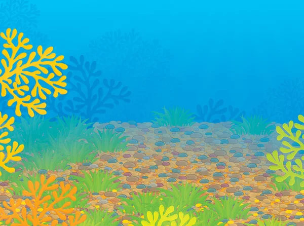 Trópusi korallzátony — Stock Fotó
