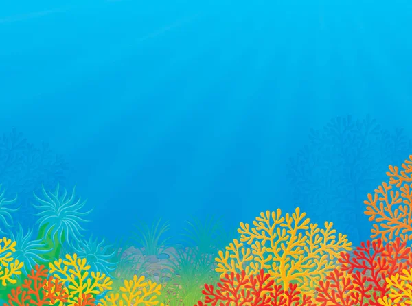 Tropical coral reef — Stock Photo, Image