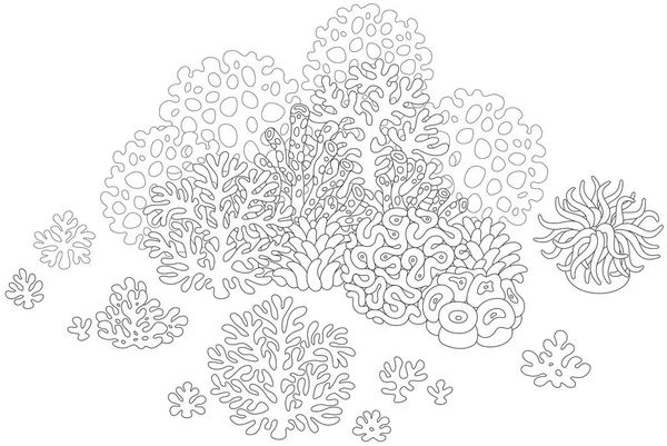 Coralli tropicali su una scogliera — Vettoriale Stock