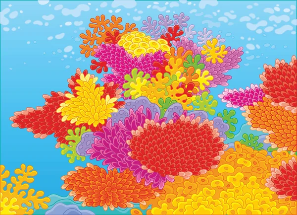 Coraux sur un récif — Image vectorielle