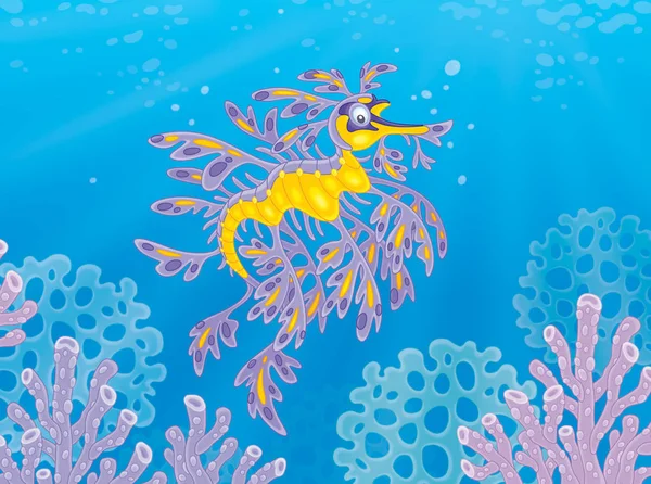 Leafy sea dragon — Stock Photo, Image