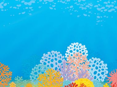 Tropikal Mercan Resifi