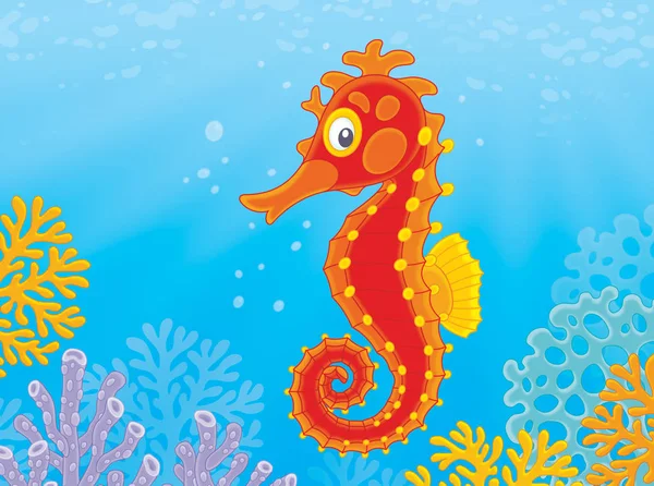 Red sea horse — Stock Photo, Image