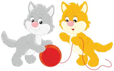 küçük yavru kedi oyun