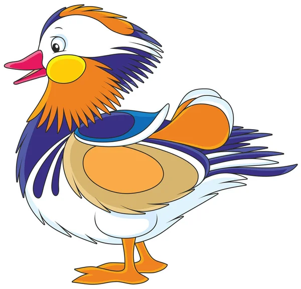 Motley Mandarin Duck Vector Illustration Cartoon Style — Stock Vector