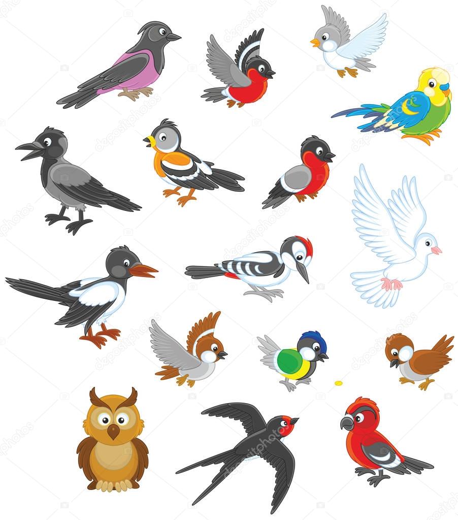 Vector set of birds in cartoon style