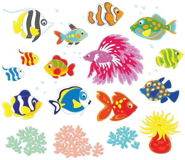 Vector Set Colorful Fishes Cartoon Style — Stock Vector