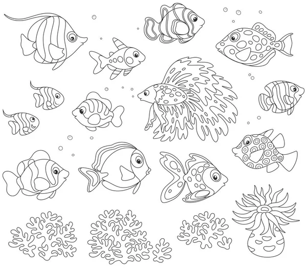 Μαύρο Και Άσπρο Διάνυσμα Σύνολο Ψάρια Στυλ Καρτούν — Διανυσματικό Αρχείο