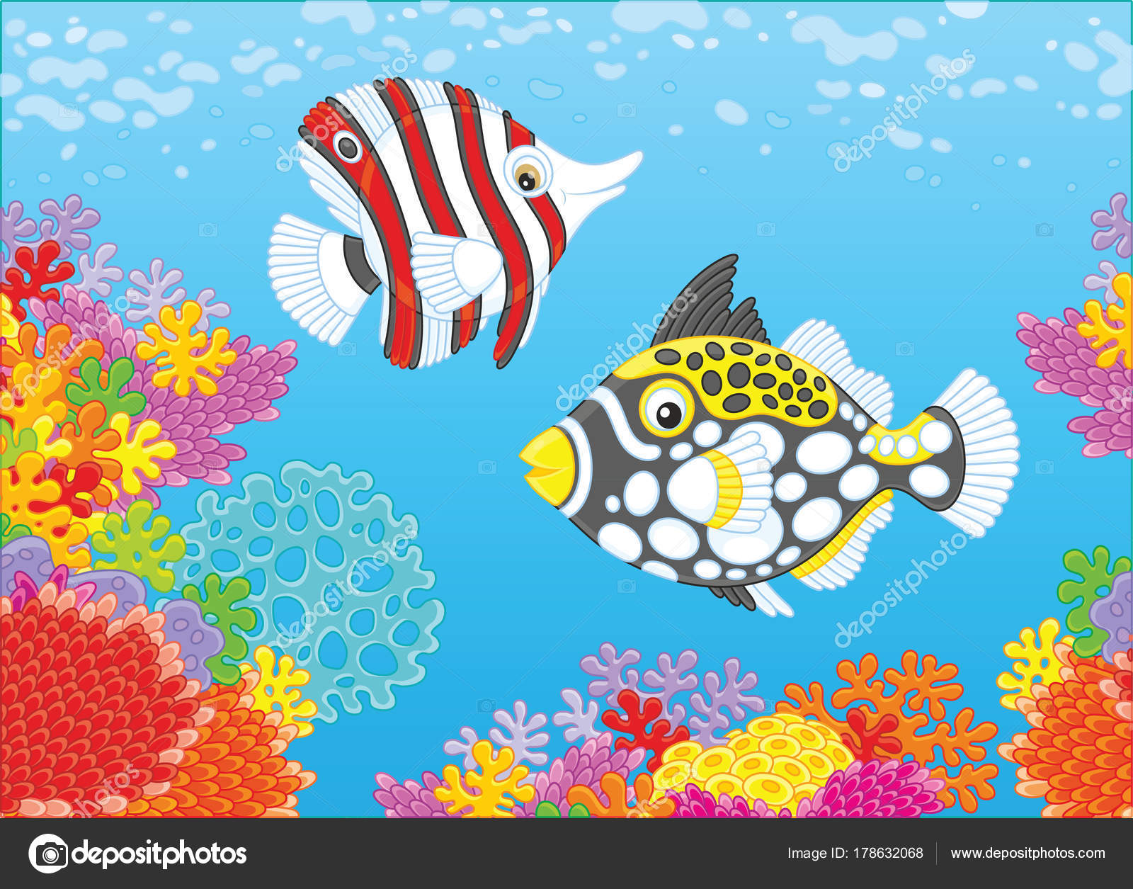 Poisson Papillon Drôle Une Baliste Clown Nager Dans Eau