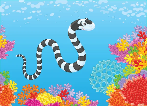 黒と白は熱帯の海 漫画のスタイルのベクトル図の青い水でカラフルなサンゴ礁の上海蛇スイミングをストライプ — ストックベクタ