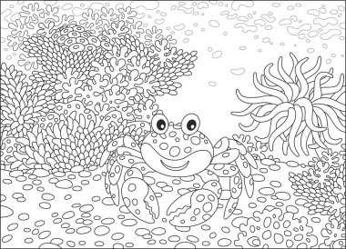 Komik bir yengeç, bir actinia ve mercan bir tropik resif, siyah ve beyaz vektör çizim karikatür tarzı bir boyama kitabı için üzerinde