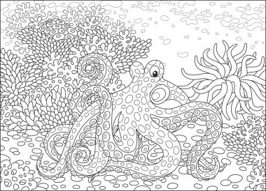 Bir benekli ahtapot, bir actinia ve mercan bir tropik resif, siyah ve beyaz vektör çizim karikatür tarzı bir boyama kitabı için üzerinde