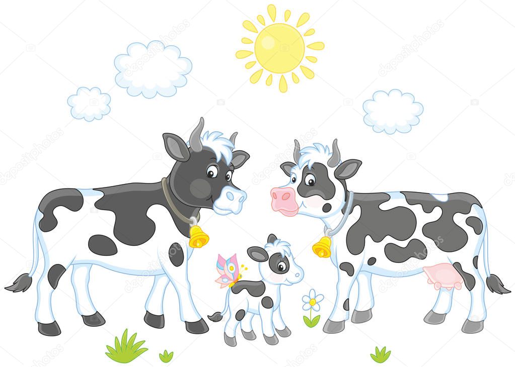 A spotted cow, a bull and a small calf, a vector illustration in cartoon style
