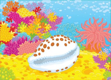 Renkli mercan tropikal bir denizde, bir vektör çizim karikatür tarzı benekli bir kabuk