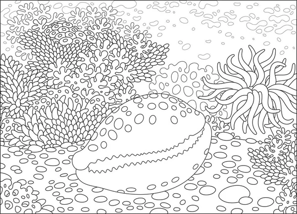 Пятнистая Скорлупа Коралловом Рифе Тропическом Море Черно Белая Векторная Иллюстрация — стоковый вектор