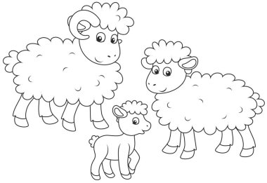 Küçük bir kuzu, koyun ve bir ram, komik karikatür tarzı bir boyama kitabı için siyah ve beyaz vektör çizim