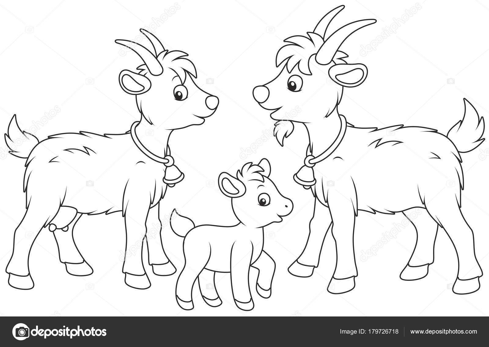 Billy goat Vector Art Stock Images | Depositphotos