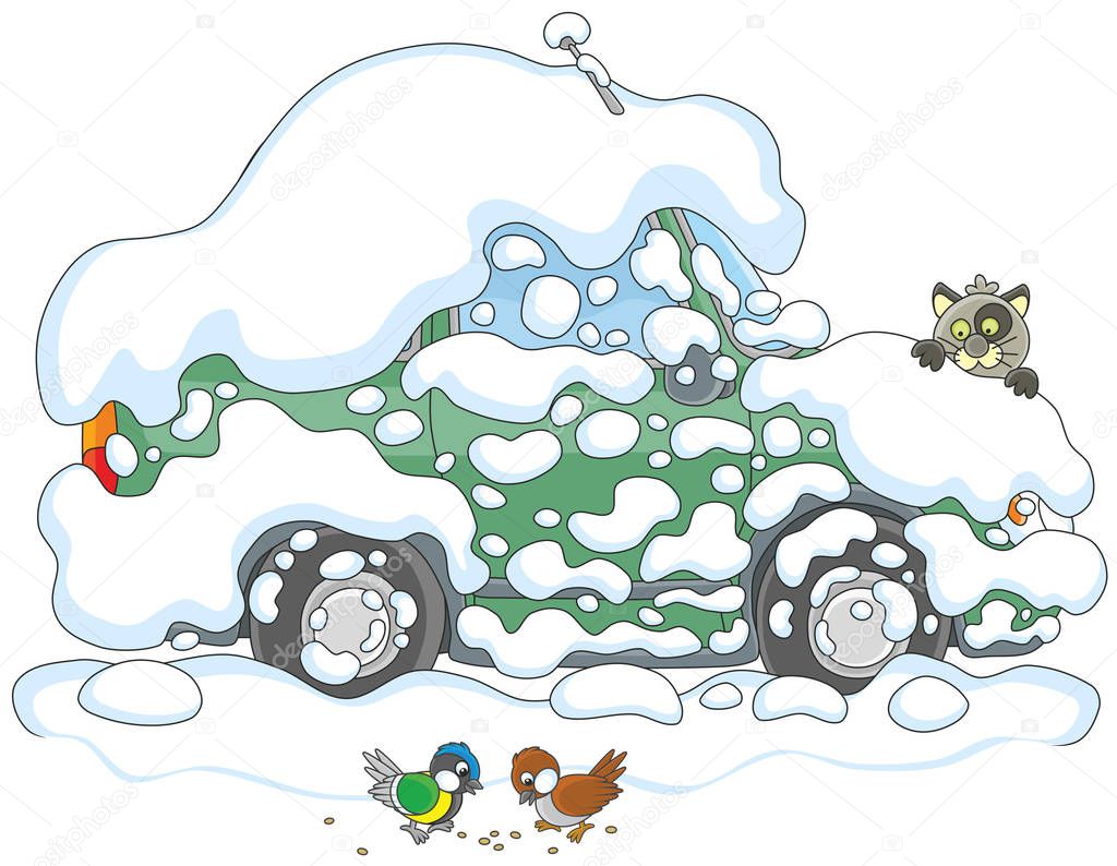 Funny cat watching small birds from behind a car covered with snow, a vector illustration in cartoon style
