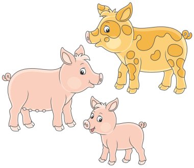 Tuhaf ailenin küçük pembe bir domuzcuk, bir domuz ve bir domuz, vektör çizimler karikatür tarzı