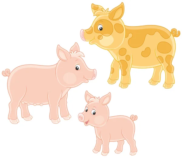 Rodina Malé Růžové Prasátko Prase Prase Vektorové Ilustrace Karikatuře Stylu — Stockový vektor
