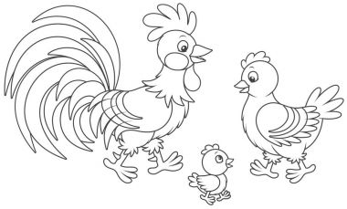 Funny family of a rooster, a cute hen and a little chick, a black and white vector illustration in cartoon style for a coloring book vector Funny family of a rooster, a cute hen and a little chick, a black and white vector illustration in cartoon style for a coloring book vector