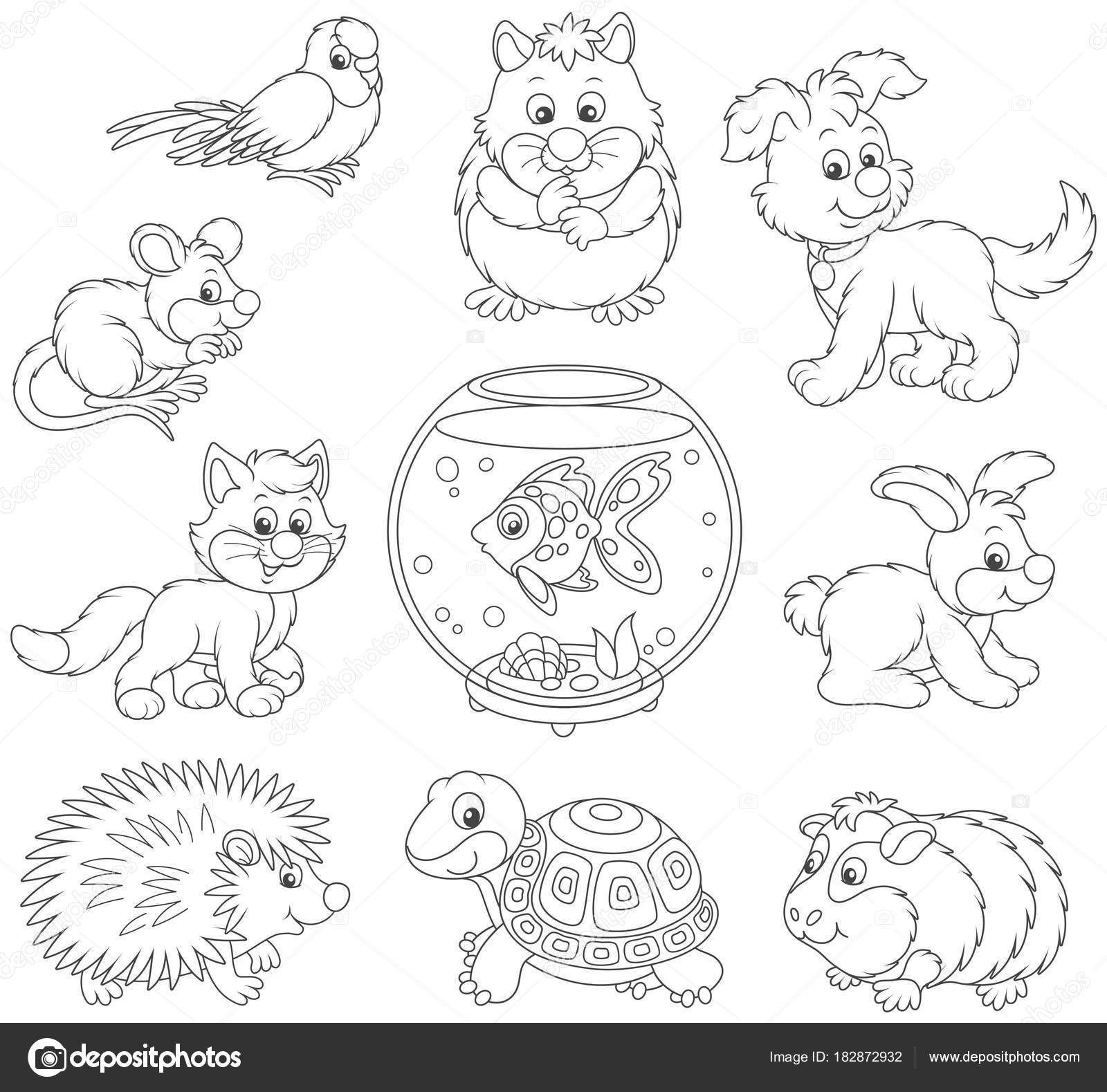 Set Pets Including Cat Dog Parrot Other Domestic Animals Black Stock Vector  Image by ©AlexBannykh #182872932