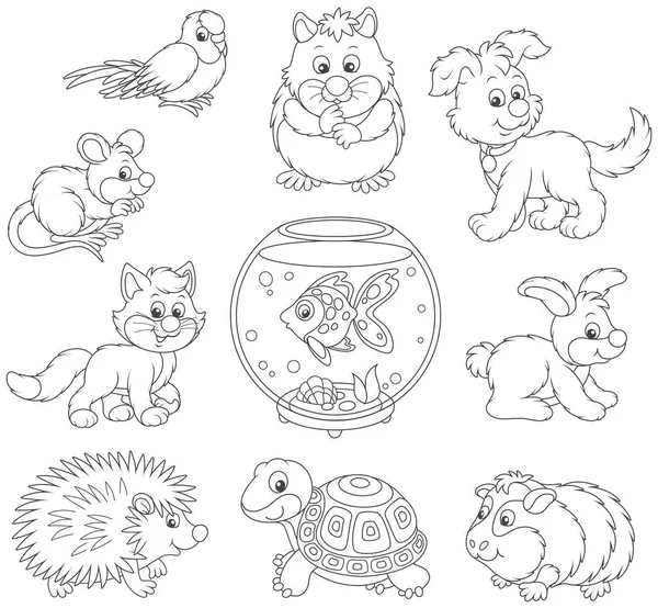 一组宠物 包括猫 鹦鹉和其他家畜 黑白矢量插图在滑稽的卡通风格的着色书 — 图库矢量图片