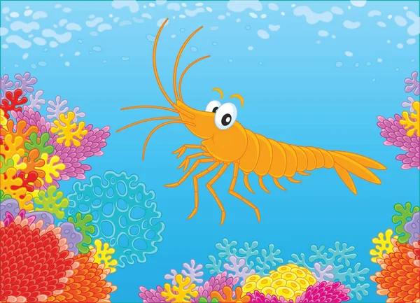 Смешные Креветки Плавающие Красочном Коралловом Рифе Тропическом Море Векторная Иллюстрация — стоковый вектор