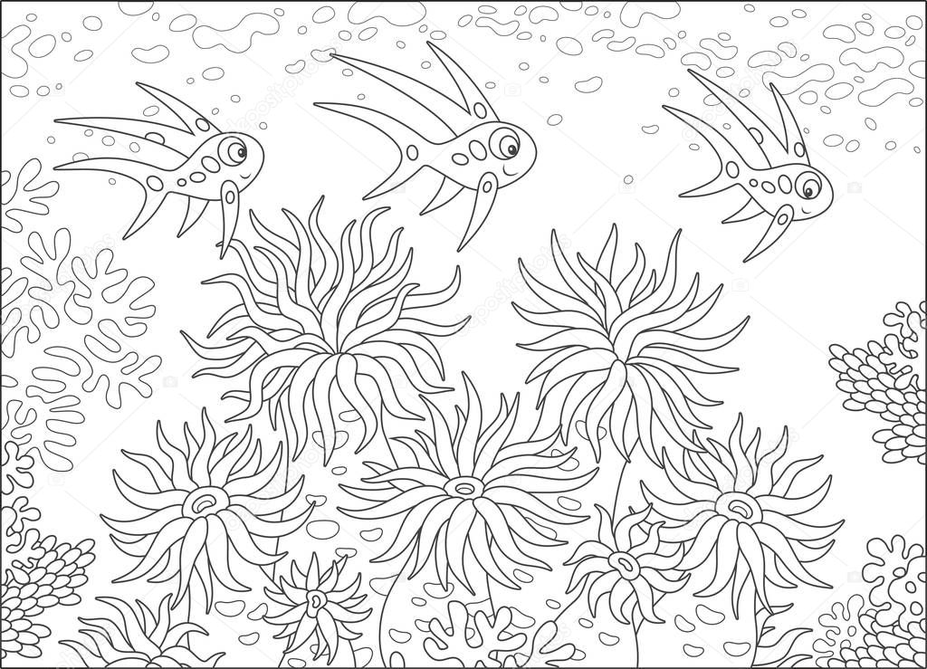 Funny fishes swimming over anemones on a coral reef in a tropical sea, a black and white vector illustration in cartoon style for a coloring book