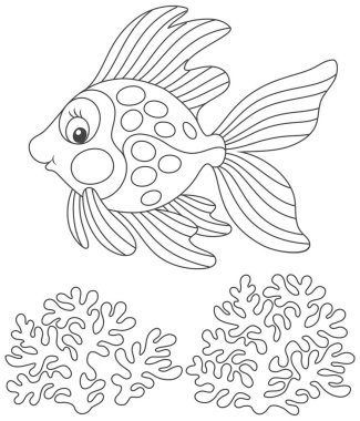 Tropikal altın balık gülümseyen ve mercanlar üzerinde Yüzme samimi bir komik karikatür tarzı bir boyama kitabı için siyah ve beyaz vektör çizim