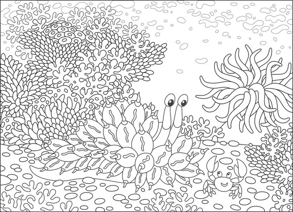 Molusco Tropical Divertido Cangrejo Sonriente Amigable Arrecife Coral Ilustraciones Vectoriales — Archivo Imágenes Vectoriales