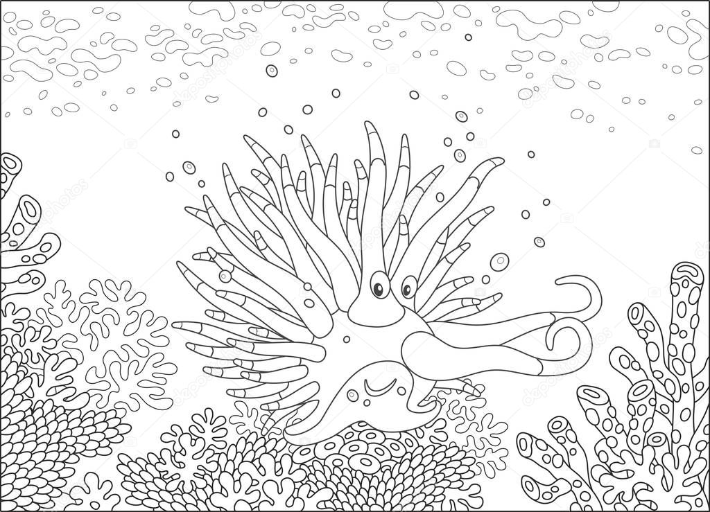 Funny tropical mollusc among amazing corals on a reef, a black and white vector illustration in a cartoon style for a coloring book