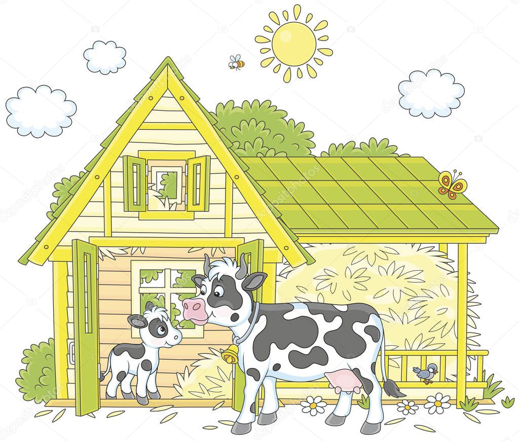 Spotted cow and her small calf near their barn on a milk farm, a vector illustration in cartoon style