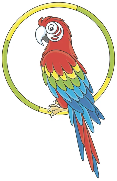 有趣和五颜六色的热带鹦鹉金刚鹦鹉坐在一个圆环上 矢量插图的卡通风格 — 图库矢量图片
