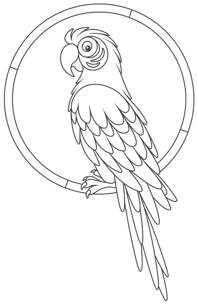 Divertente Macaw Pappagallo Tropicale Seduto Anello Illustrazione Vettoriale Bianco Nero — Vettoriale Stock