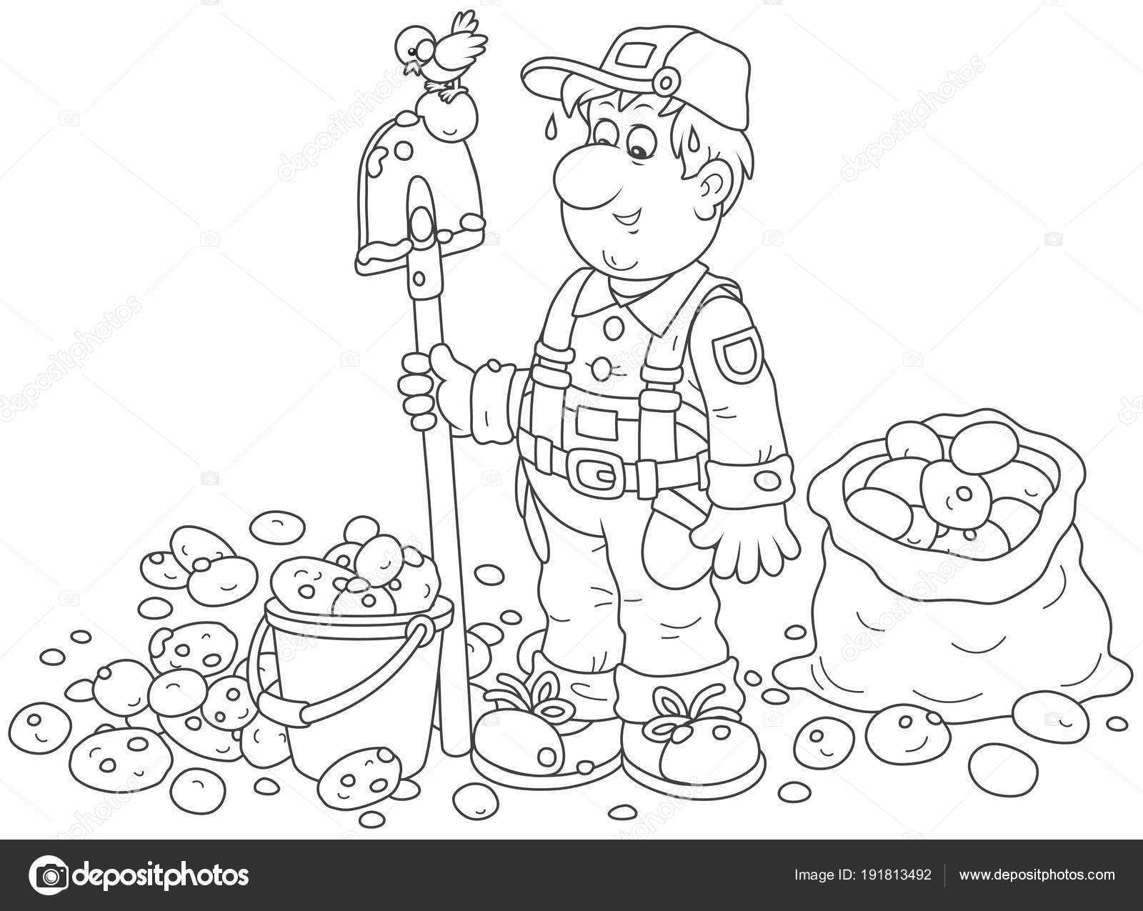 Coloriage De Pommes De Terre Images Vectorielles Coloriage De Pommes De Terre Vecteurs Libres De Droits Depositphotos