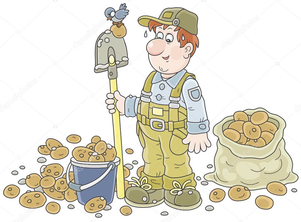 Rich potato crop. Smiling farmer with a spade and potatoes in a bucket and a sack, vector illustration in a cartoon style