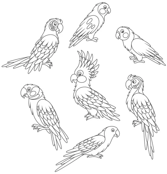 Colección Divertidos Loros Tropicales Ilustraciones Vectoriales Blanco Negro Estilo Dibujos — Vector de stock