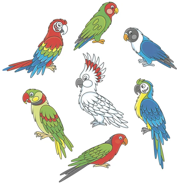 Collection Amusing Colorful Tropical Parrots Vector Illustrations Cartoon Style — Stock Vector