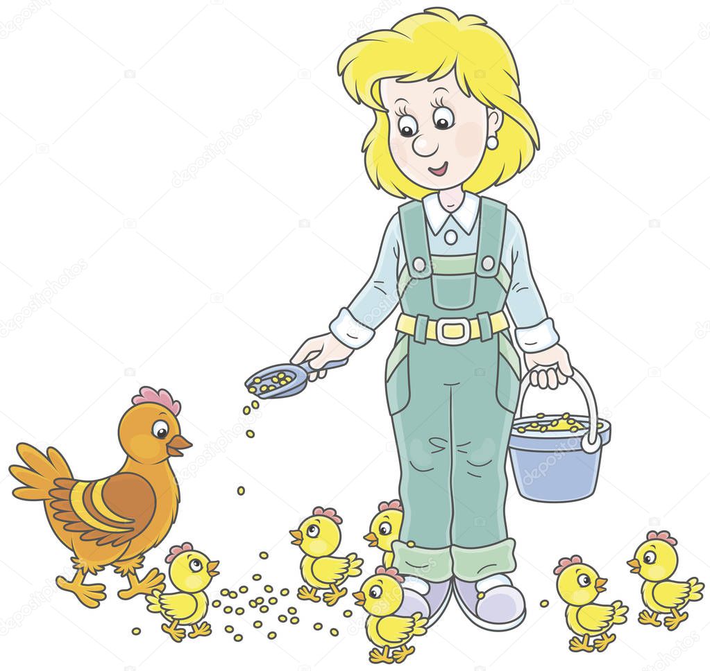 Friendly smiling poultry woman feeding her hen and small chicks on a poultry farm, vector illustration in a cartoon style