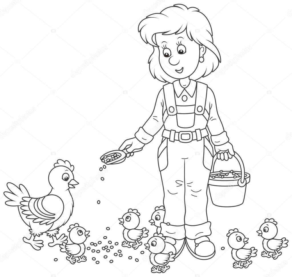  Friendly smiling poultry woman feeding her hen and small chicks on a poultry farm, black and white vector illustration in a cartoon style for a coloring book