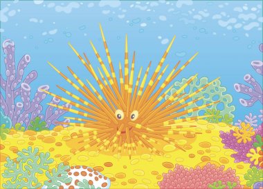 Komik uzun-omurga deniz kestanesi arasında tropikal bir denizde, vektör çizim karikatür tarzı bir resif üzerinde renkli mercan