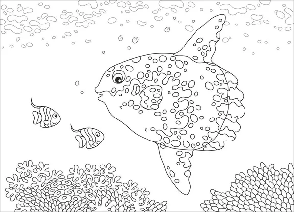 Grandes Peces Luna Pequeños Peces Mariposa Nadando Sobre Los Corales — Vector de stock