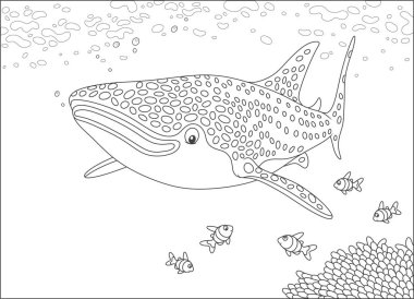 Büyük balina köpekbalığı ve tropikal deniz, siyah ve beyaz vektör çizim Resifi'nde üzerinde Yüzme küçük mercan balıklar 