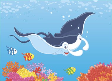 Big manta ray and small butterfly fishes swimming over coral reef in blue water of a tropical sea, vector illustration in a cartoon style clipart