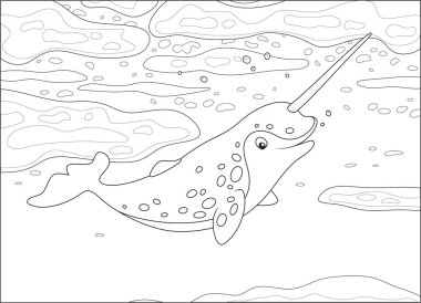 Spotted narwhal with a long tusk swimming under ice in a polar sea, black and white vector illustration in a cartoon style for a coloring book clipart