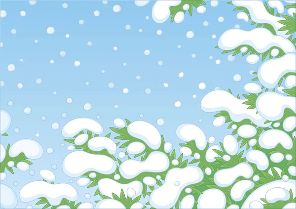 Snow Covered Green Fir Tree Branches Snowy Frosty Winter Day — ストックベクタ