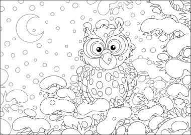 Düşünceli baykuş, soğuk ve karlı bir ay ışığında, bir kış ormanında, dikenli bir köknar dalına tünemiş, siyah ve beyaz vektör çizimi